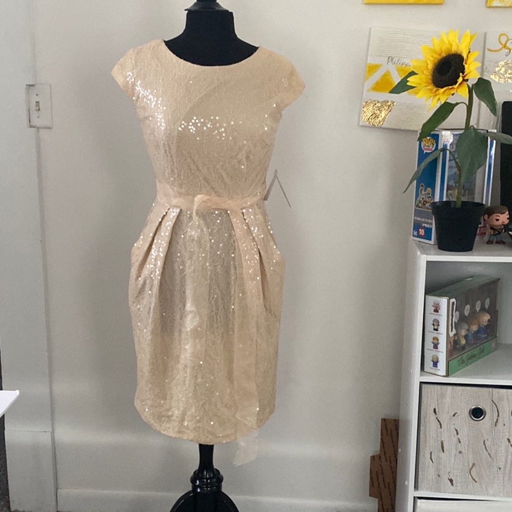 Alex Evenings Dress